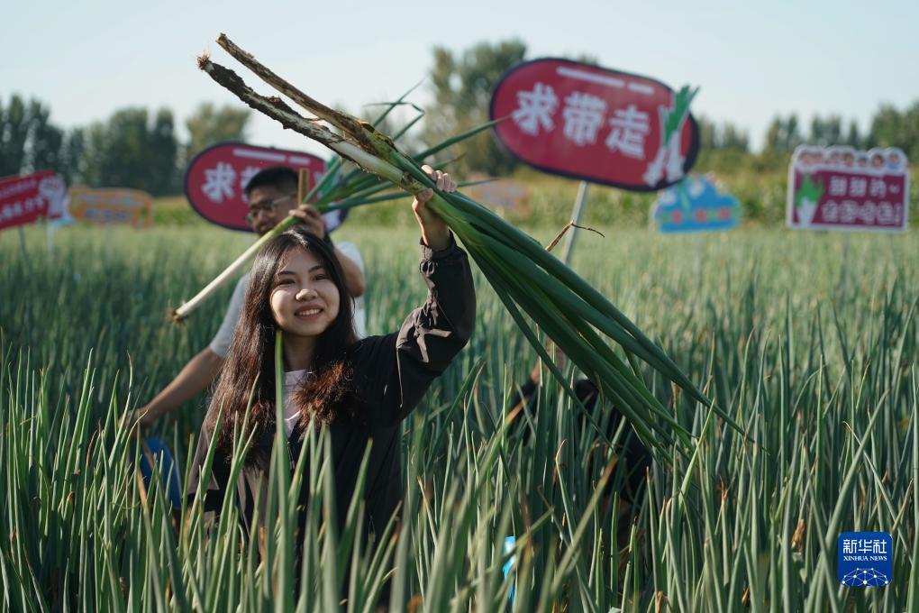 打鱼机论坛